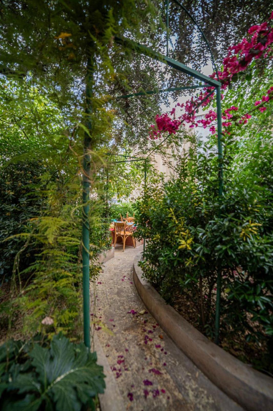 Central House With Beautiful Garden 安曼 外观 照片